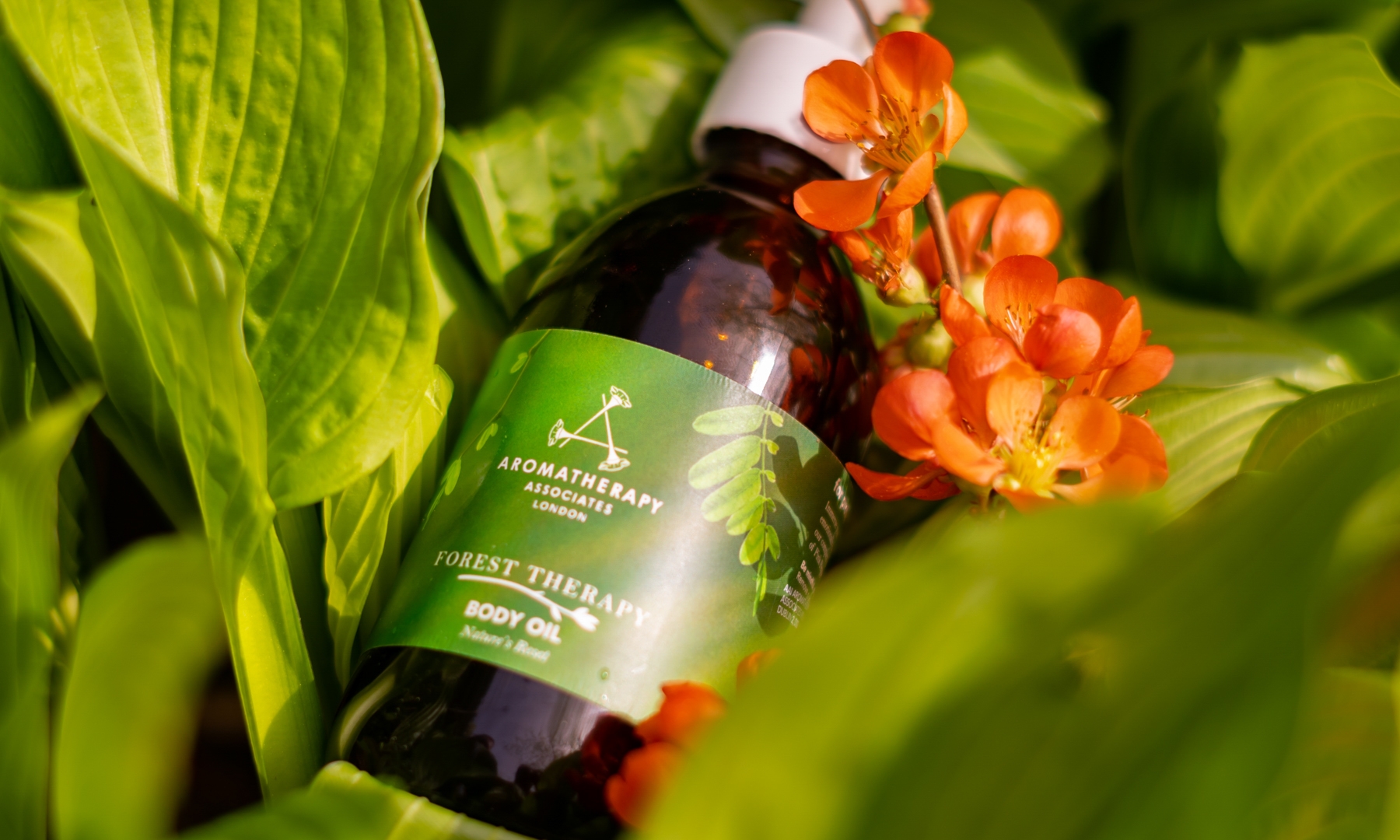 TREATMENTS WITH THE AROMATHERAPY ASSOCIATES BRAND