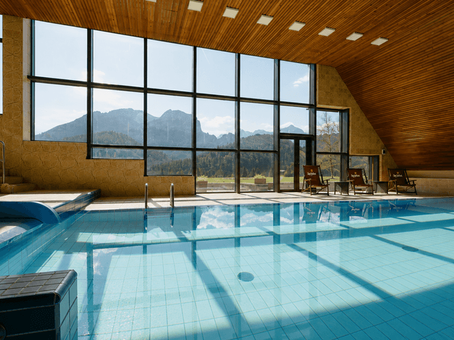 Wellness 