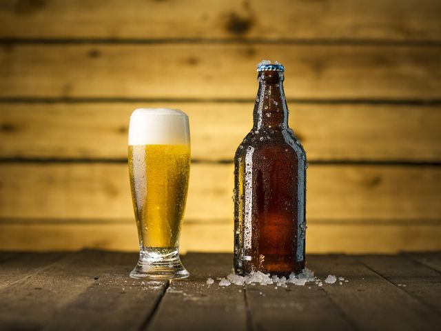 Pivo