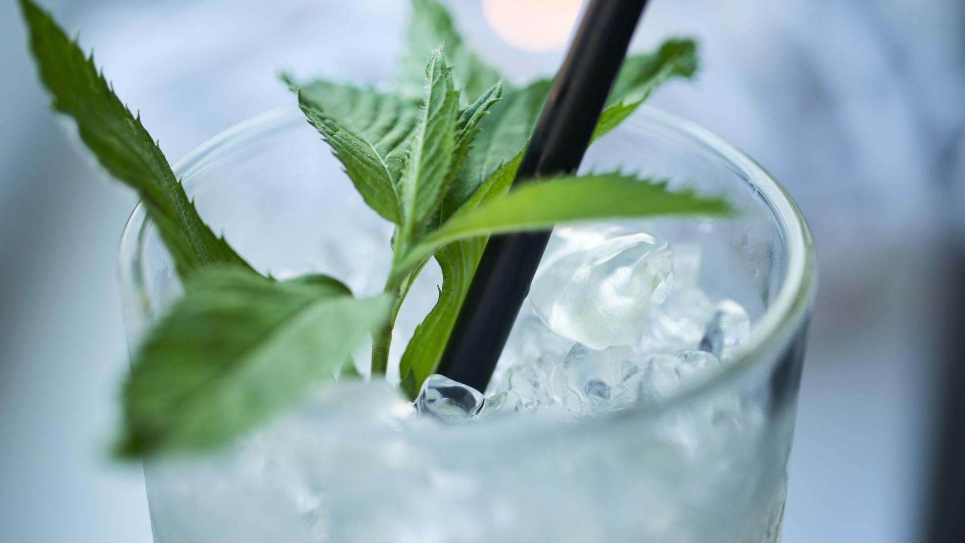 Vodka