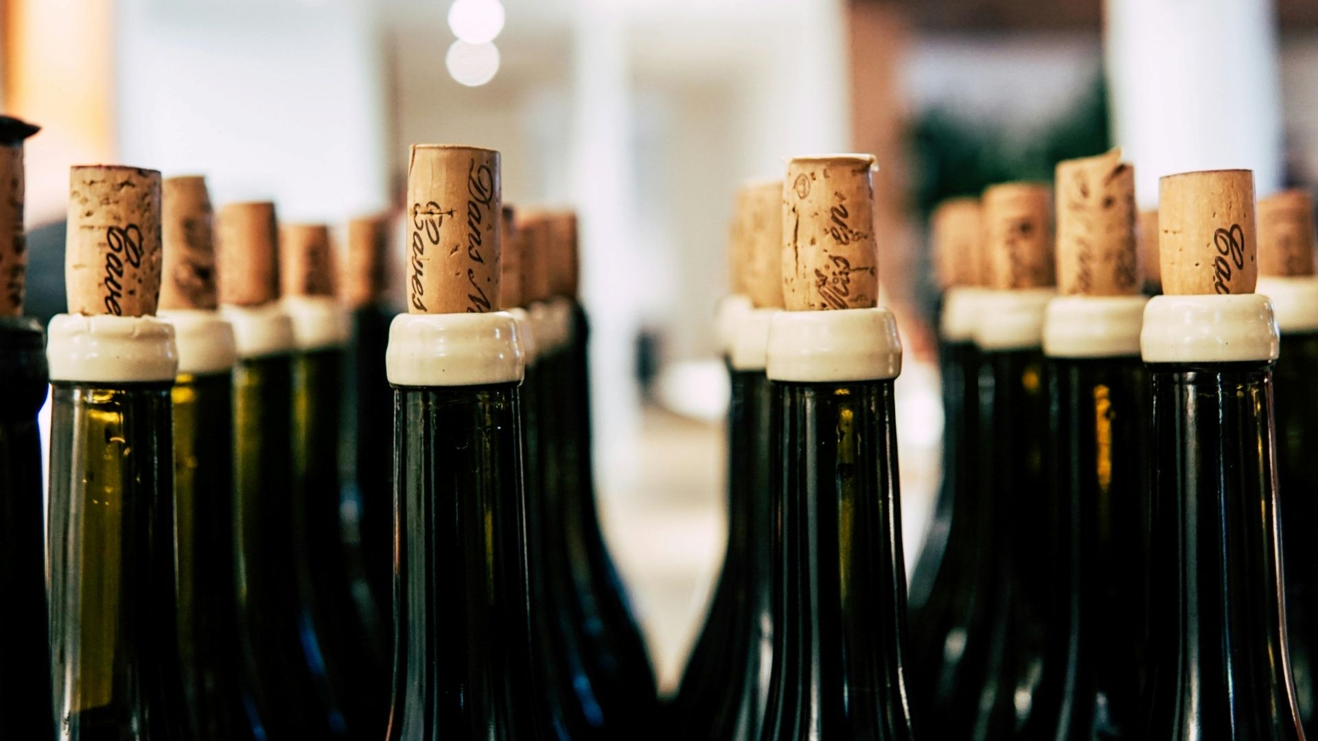 THE WINES