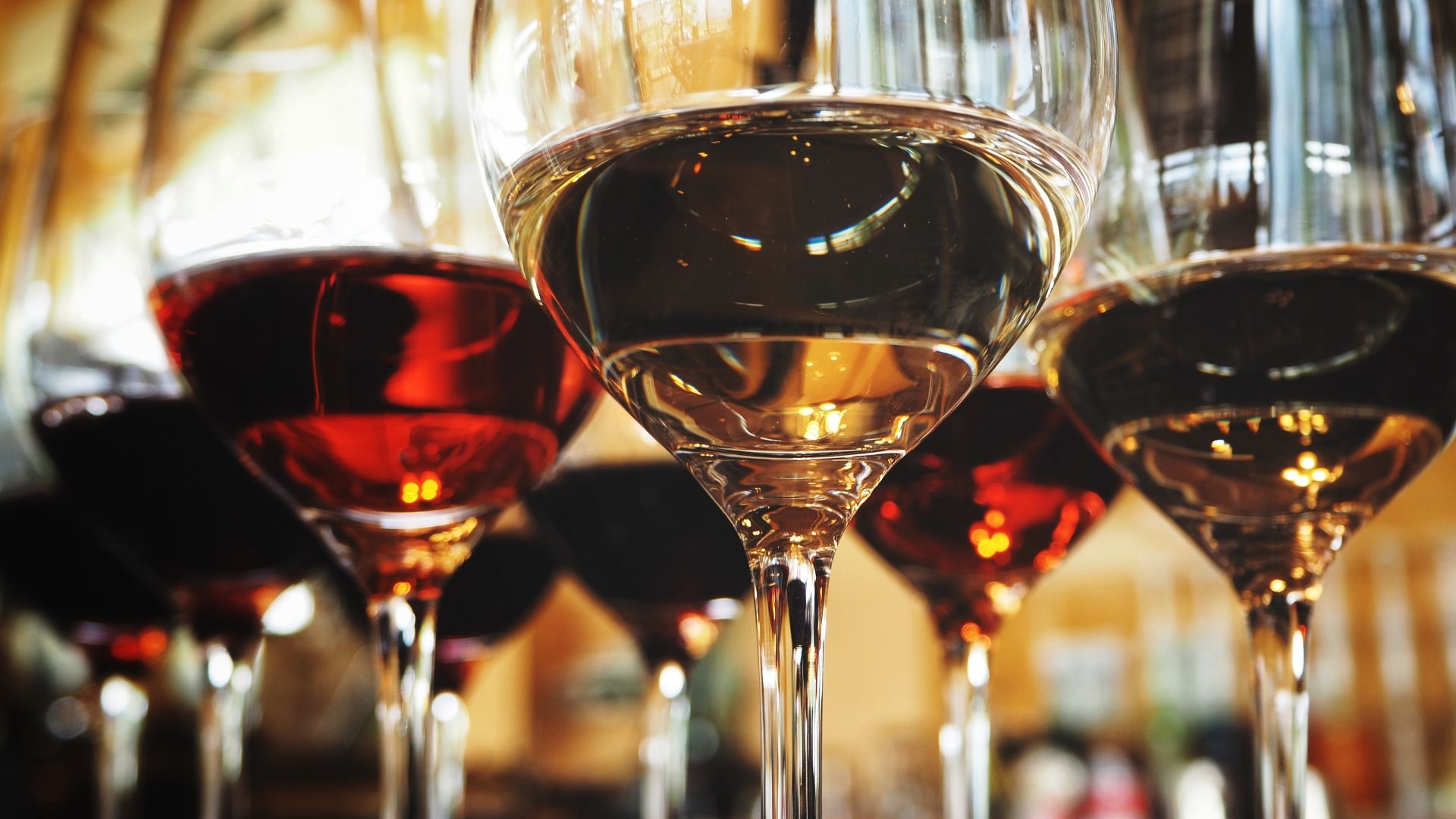 PINOT NOIR