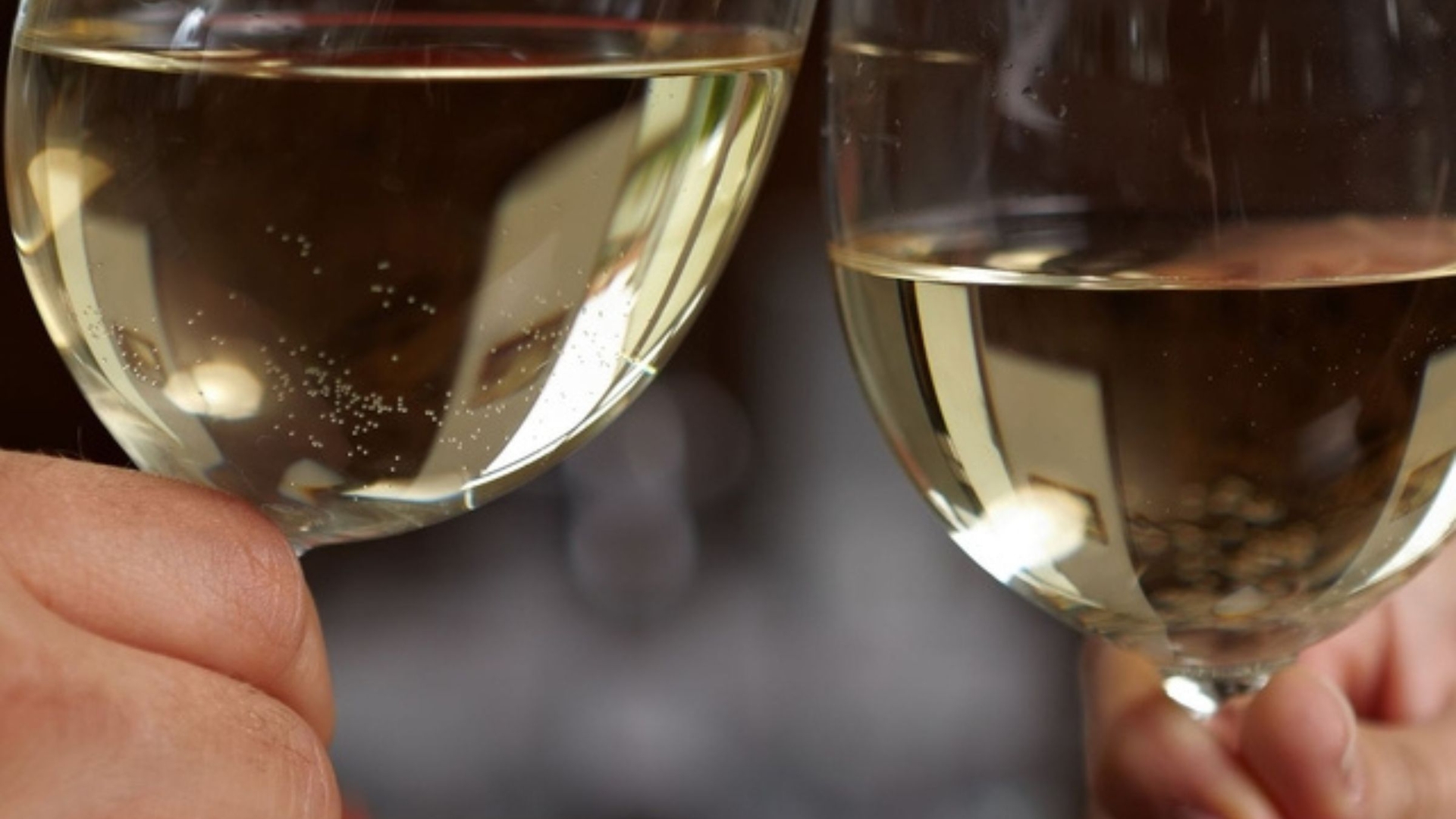 SAUVIGNON BLANC