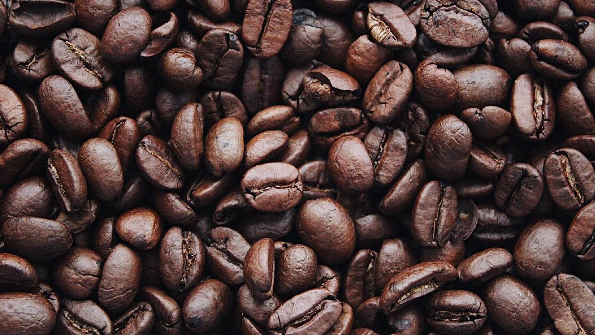 GROUND ONE COFFEE