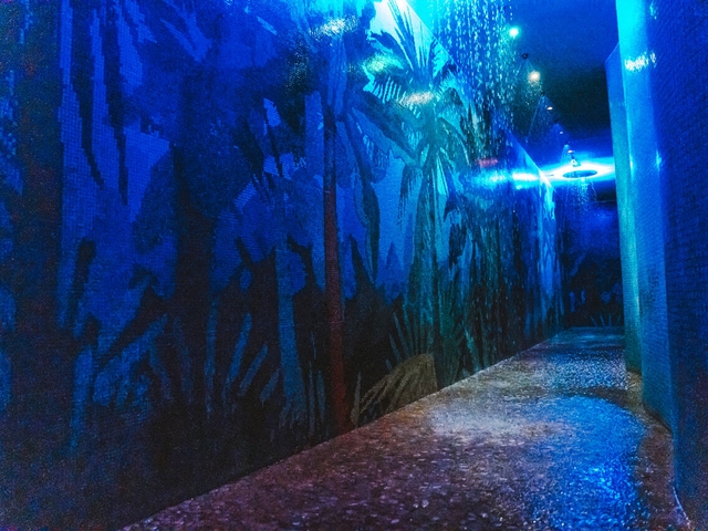 RAINFOREST