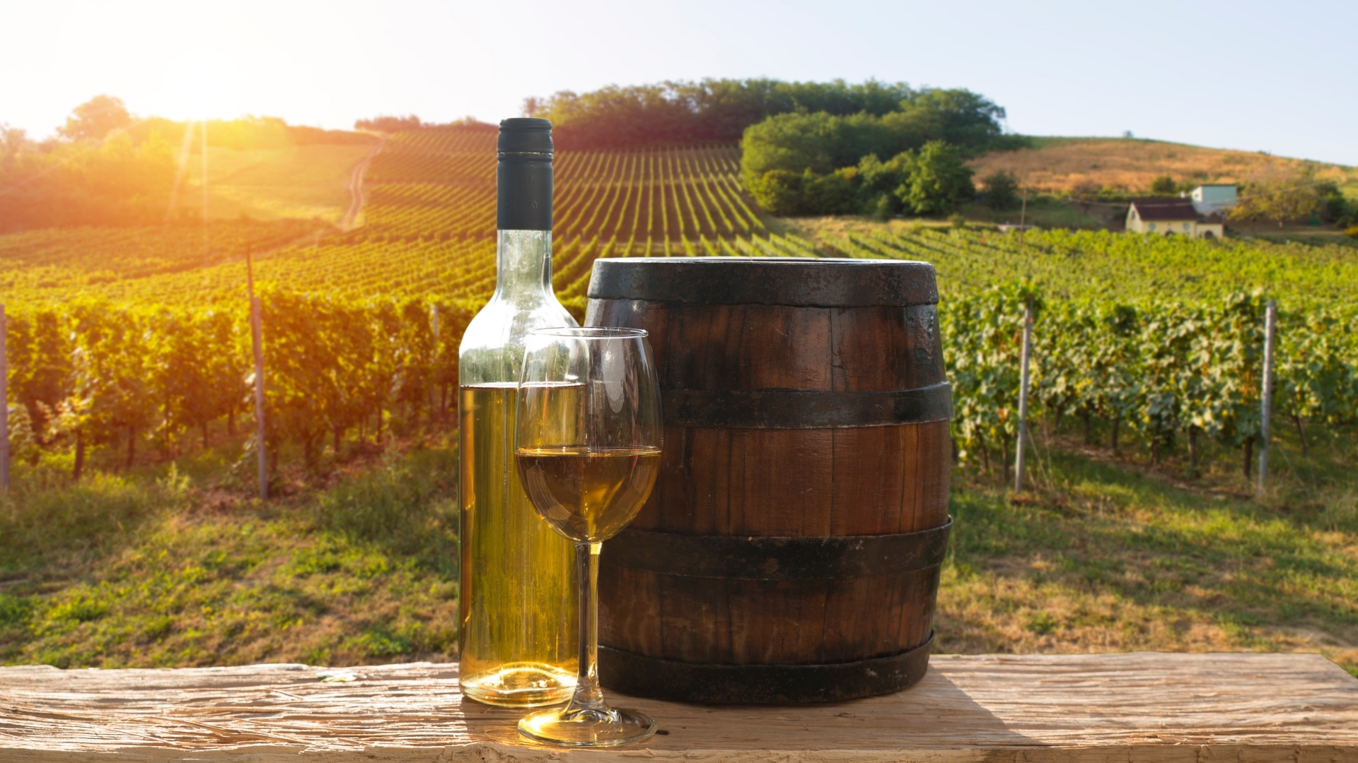 Wino białe