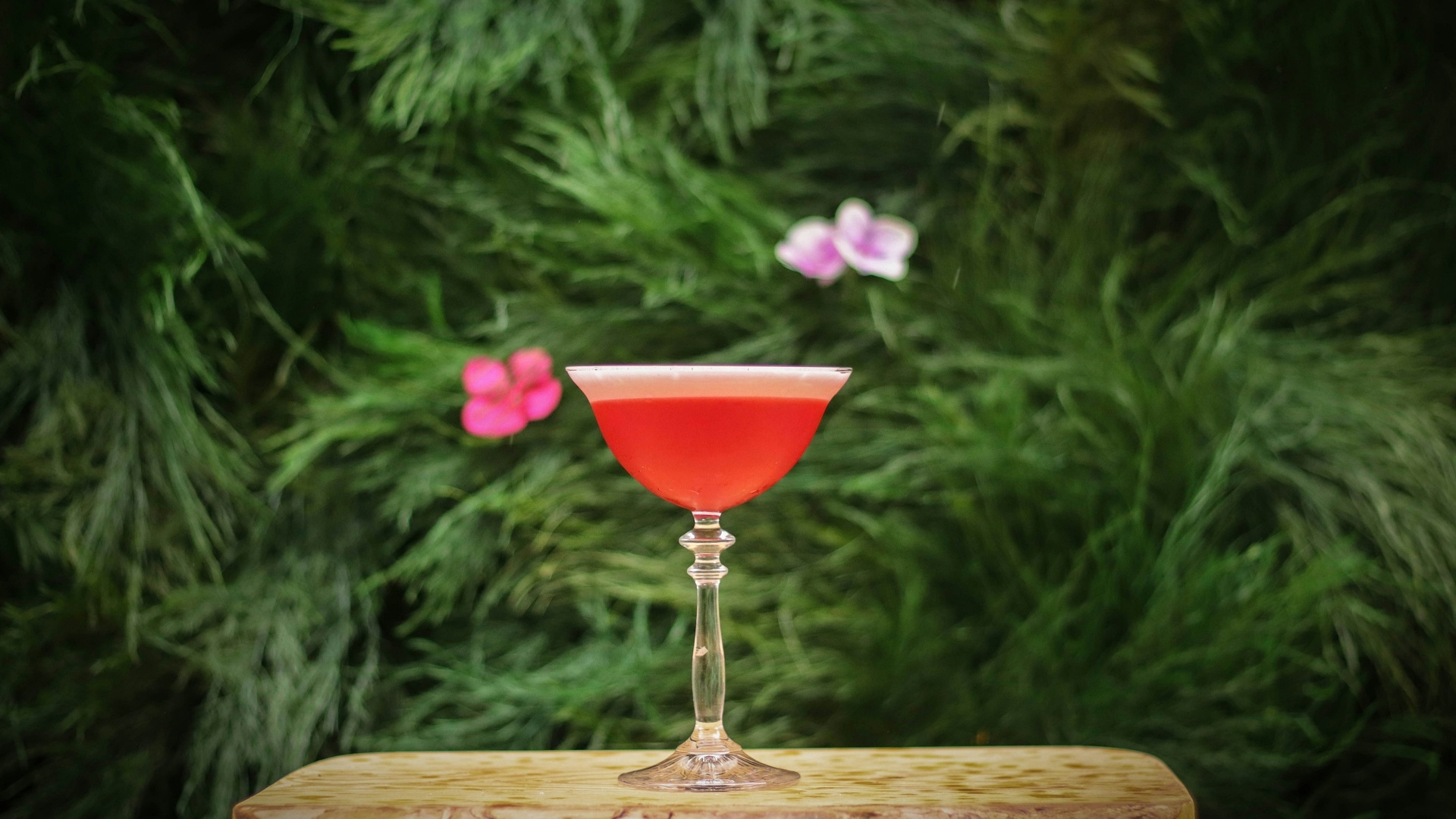 Aperitif