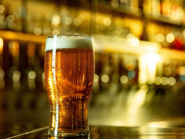 Pivo